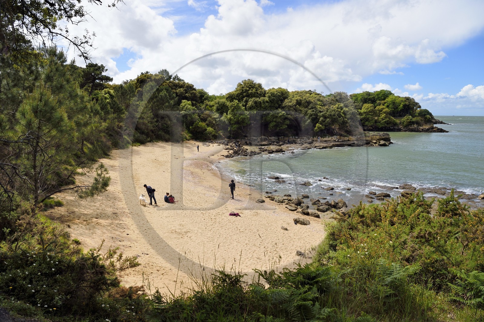 France, Charente-Maritime (17), Ile d'Aix, la crique de la plage des Sables d’Or France, Charente-Maritime (17), Ile d'Aix, la crique de la plage des Sables d’Or