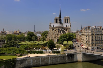 France, Paris (75), les rives de la Seine classées Patrimoine Mondial de l'UNESCO, île de la Cité, la cathédrale Notre-Dame