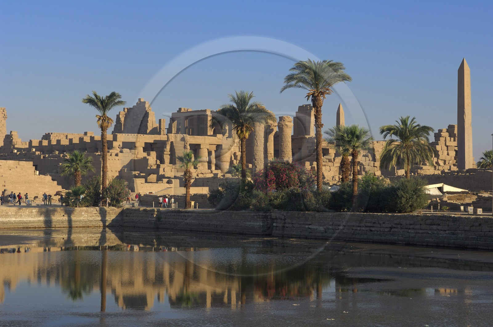 Egypte, Haute Egypte, vallée du Nil, Louxor, Karnak, classé Patrimoine Mondial de l'UNESCO, le lac sacré et les obélisques de Thoutmosis I et Hatchepsout