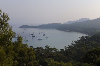 France, Var (83), Iles d'Hyères, parc national de Port-Cros, île de Porquerolles, plage de la Courtade