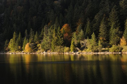 France, Haut-Rhin (68), en contrebas de la route des Crêtes, le lac des Truites ou lac du Forlet, situé dans un ancien cirque glaciaire au pied du massif du Tanet