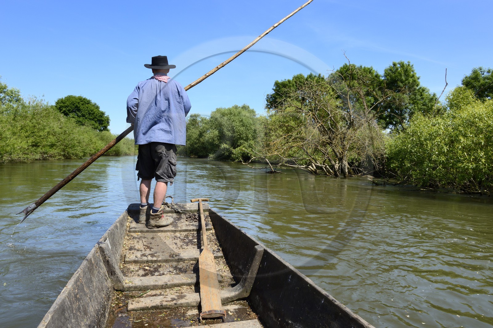 France, Bas-Rhin (67), région d'Ebersmunster et Muttersholtz, le Grand Ried, le batelier Patrick Unterstock dans une barque à fond plat en bois sur la rivière l'Ill
