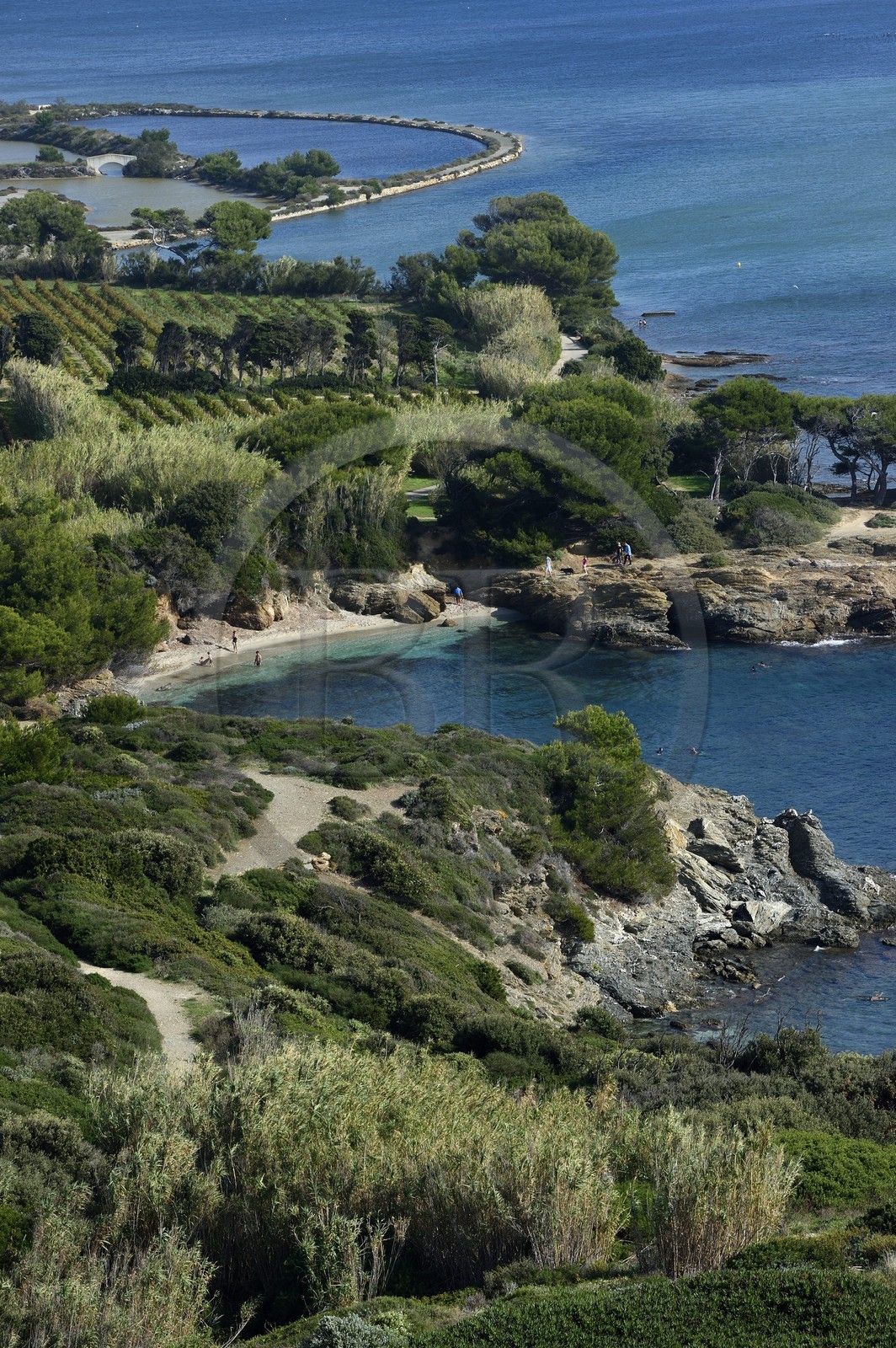 France, Var (83), Ile des Embiez vue depuis la Pointe du Coucoussa, la plage du Coucoussa
