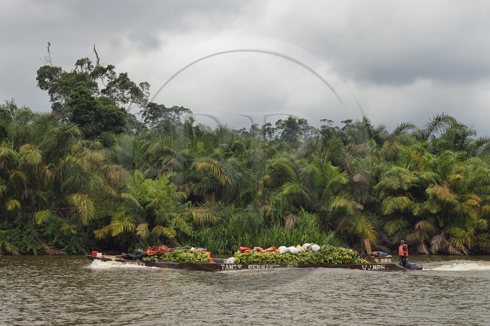 Gabon, province de Ogooué- Maritime, pirogue à moteur avec son chargement de bananes remontant une rivière de la lagune du Fernan Vaz (Nkomi)