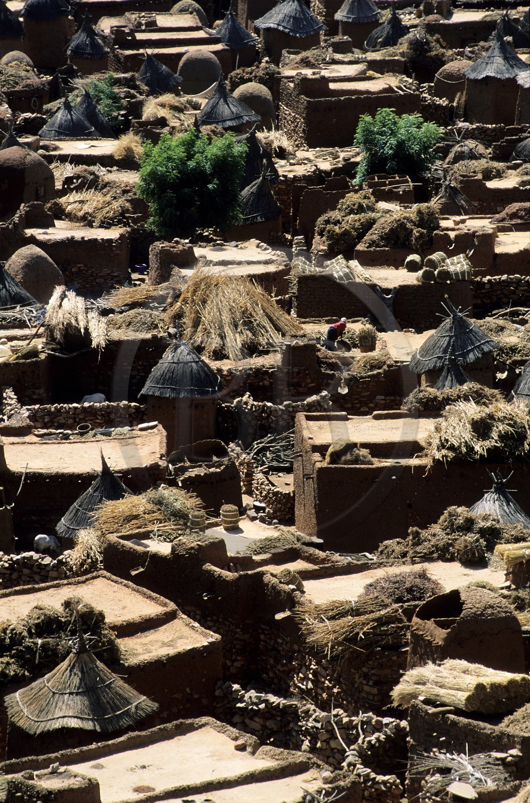 Mali, pays Dogon, falaise de Bandiagara, classée Patrimoine Mondial de l'UNESCO, le village de Songo avec les récoltes (notamment de mil) séchant sur les toits