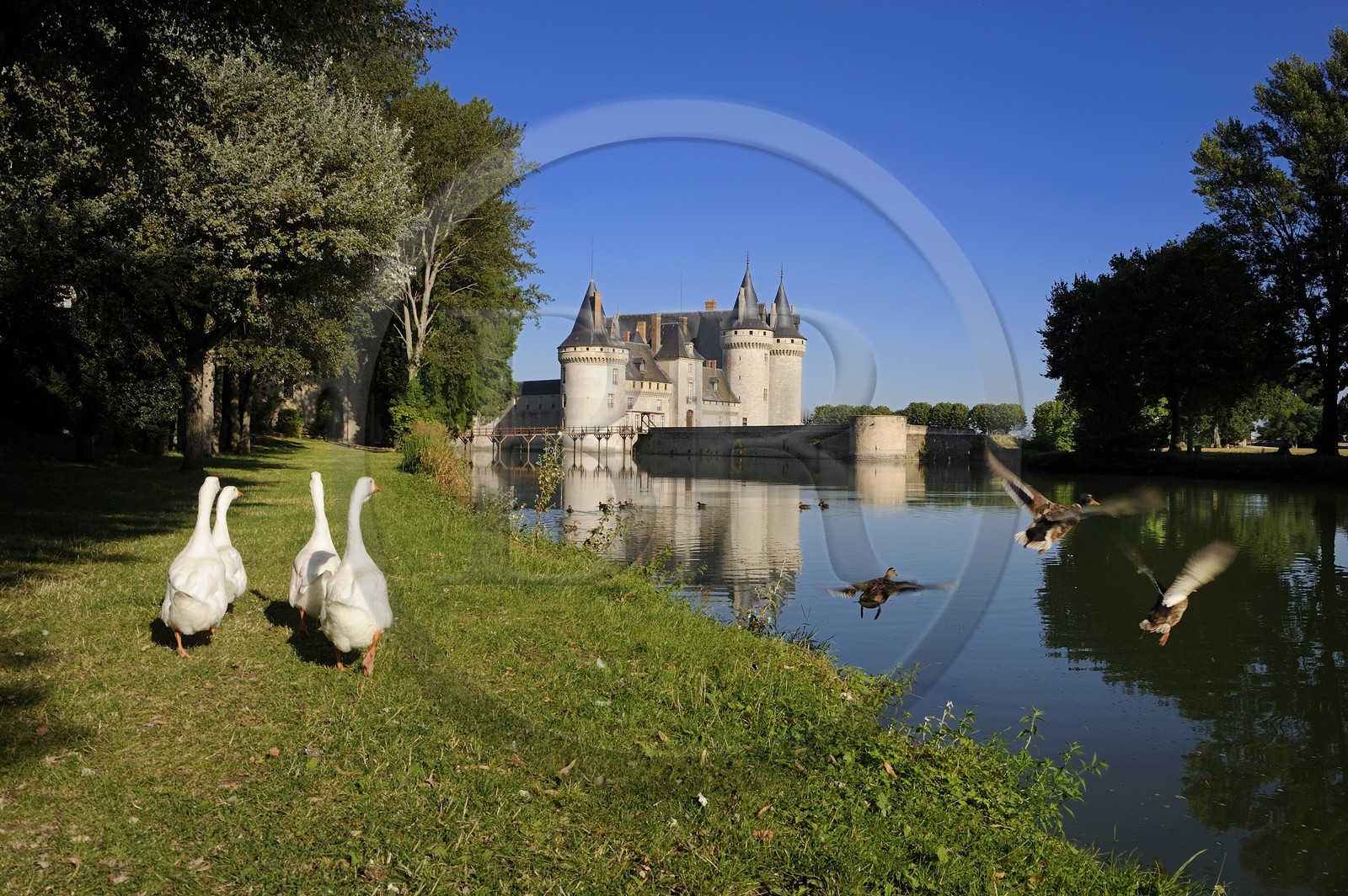 France, Loiret (45), Vallée de la Loire classée Patrimoine Mondial de l' UNESCO, Sully-sur-Loire, château du XIVe XVIIe siècles, mention obligatoire : Châteaux de Sully-sur-Loire, propriété du département du Loiret