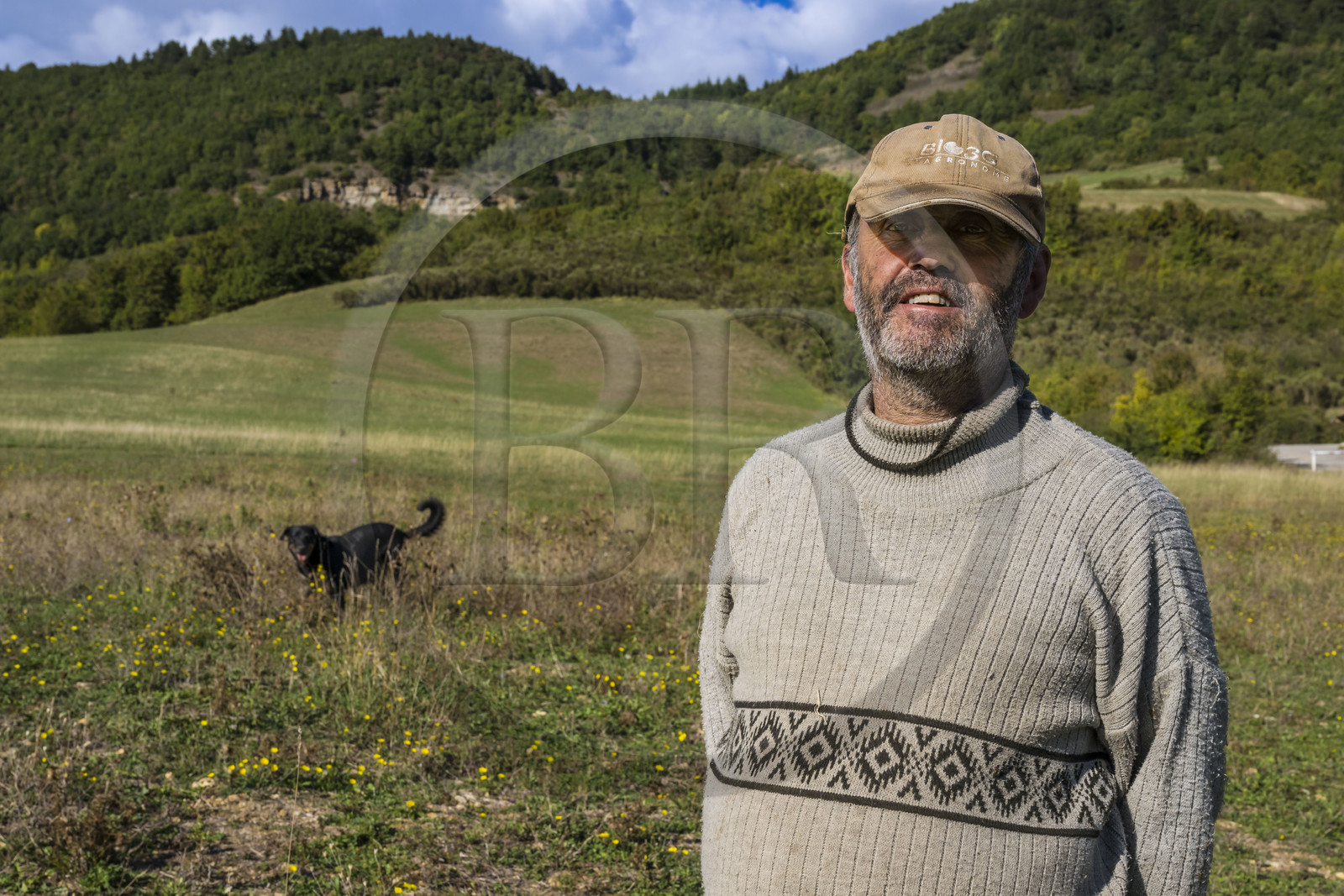 France, Aveyron (12), Causses et les Cévennes, paysage culturel de l'agro-pastoralisme méditerranéen, classés Patrimoine Mondial de l'UNESCO, Sainte-Eulalie-de-Cernon sur la route de Saint-Jacques-de-Compostelle, troupeau de mouton guidé par son berger Eric Broussou