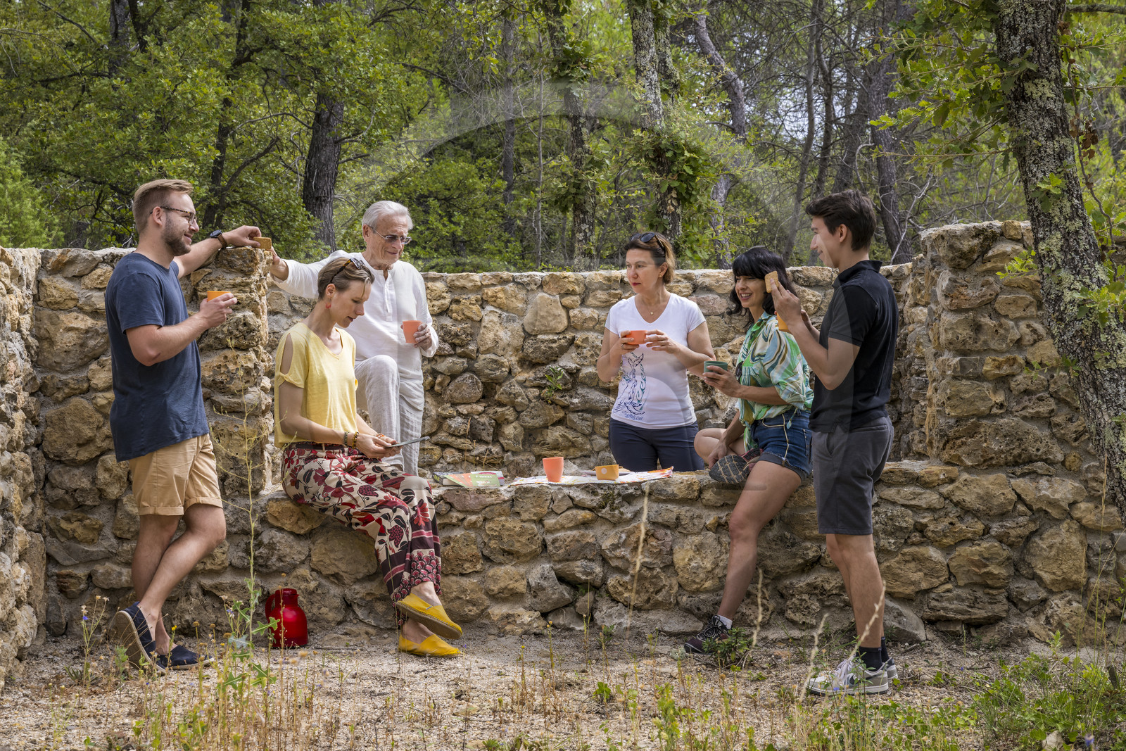 France, Var (83), Provence Verte, Bras, Académie du Bain de Forêt Provençale, forêt du domaine Le Peyrourier - une campagne en Provence, Constanze Coisne guide le Shinrin Yoku