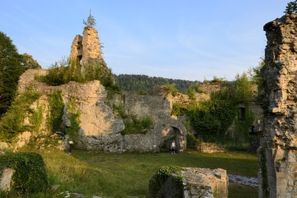 France, Haut-Rhin (68), Sundgau, Oberlarg, ruines du château du Morimont du XIIème siècle