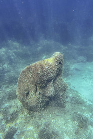 France, Alpes-Maritimes, Cannes, Lerins Islands, Sainte-Marguerite island, the underwater ecomuseum made up of monumental statues by the artist Jason deCaires Taylor, molded according to the faces of 6 inhabitants of Cannes and submerged at a distance ranging from 84 to 132 meters from the shore for a depth of 3 to 5 meters