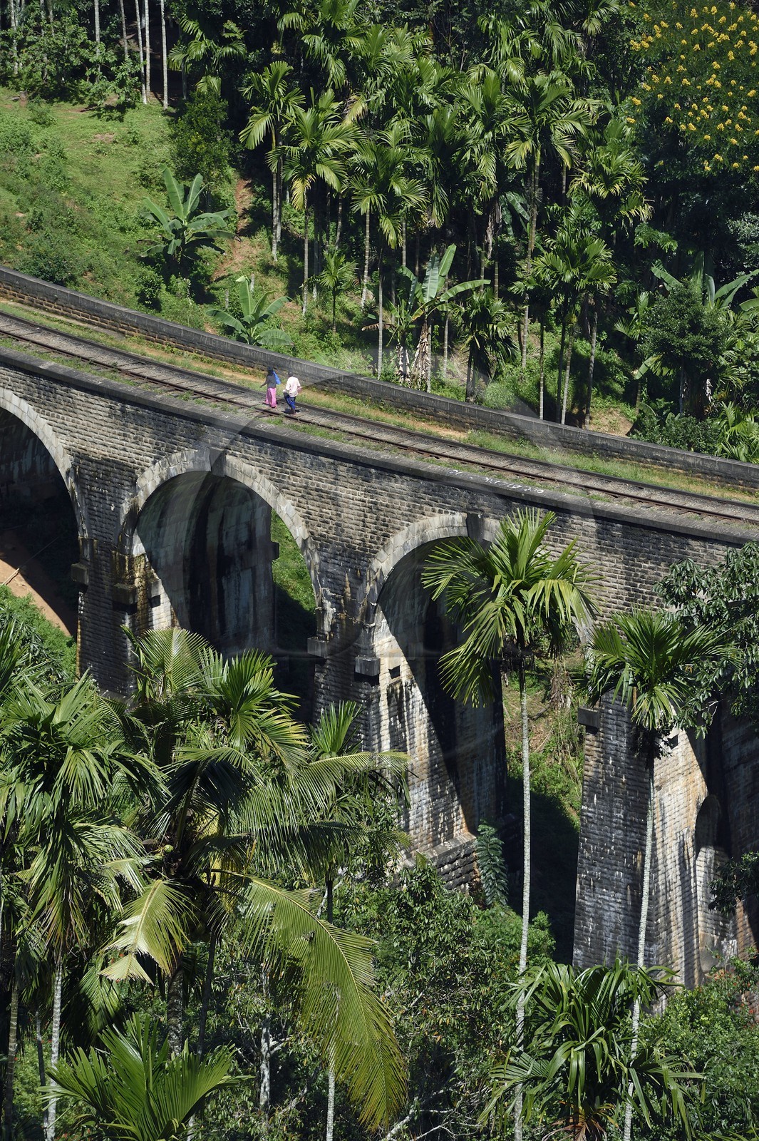 Sri Lanka, Uva Province, train on the railway track that goes through the tea growing hill country between Badulla and Ella, the Nine Arches bridge next to Ella