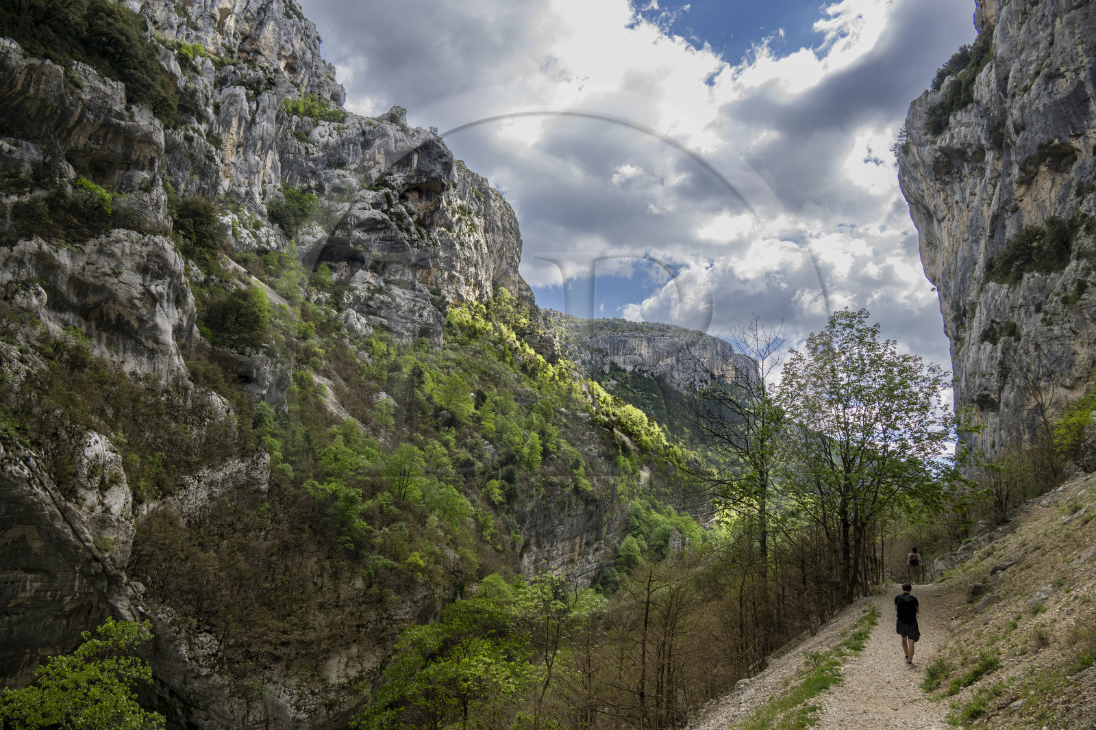France, Alpes-de-Haute-Provence (04), Parc Naturel Régional du Verdon, Rougon, Grand Canyon du Verdon, la rivière du Verdon dans le couloir Samson et le début du sentier Blanc-Martel sur le GR4