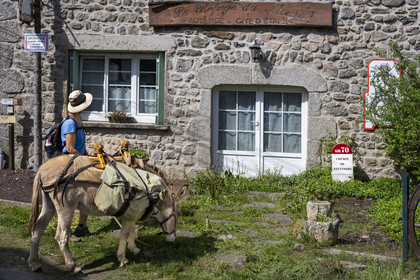 France, Lozere, Cheylard-l'Evêque, a stopover for hiking with a donkey on the Stevenson trail (GR 70)