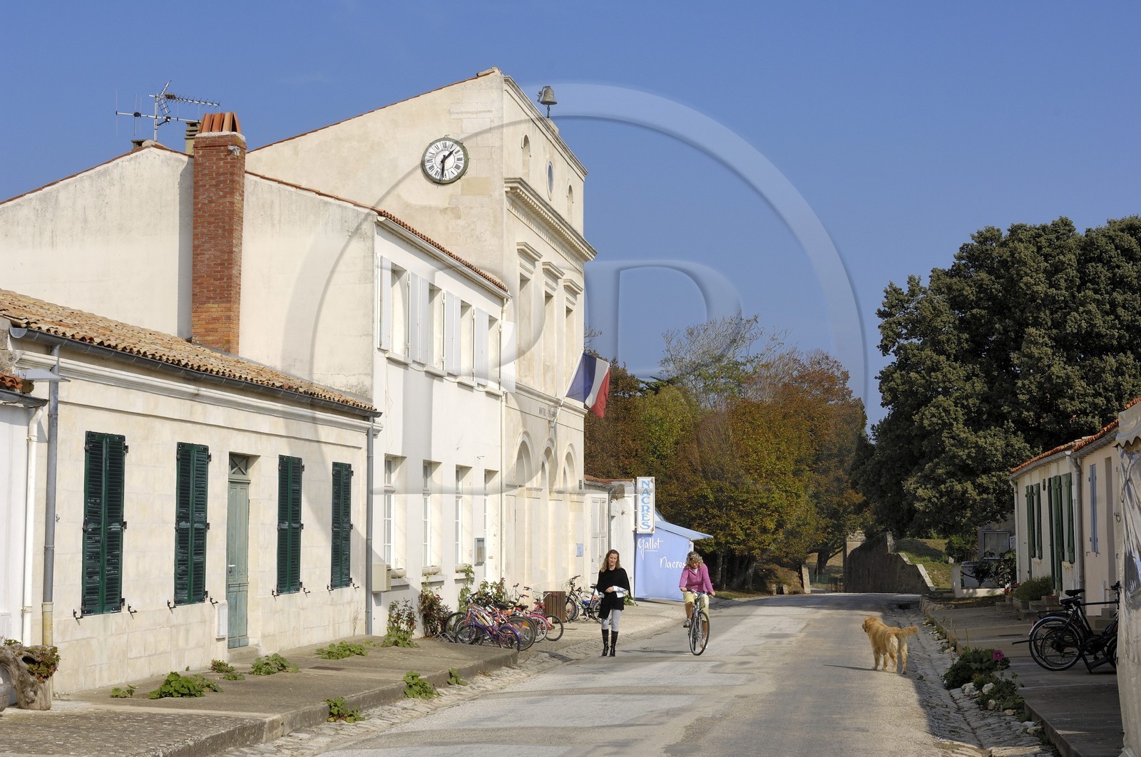 France, Charente-Maritime (17), Ile d'Aix, le bourg, l'école-mairie au bout de la rue Courgaud