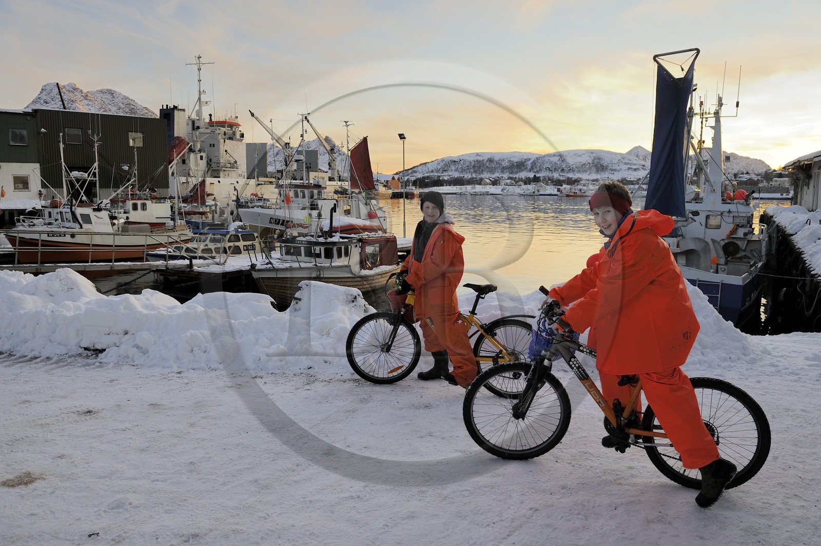 Norvège, Nordland, iles des Westeralen, port de Myre, jeunes pêcheurs rentrant chez eux en vélo Norvège, Nordland, iles des Westeralen, port de Myre, jeunes pêcheurs rentrant chez eux en vélo