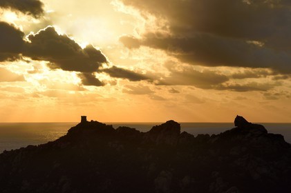 France, Corse du Sud, Cala de Roccapina natural site, genoese tower and Lion rock