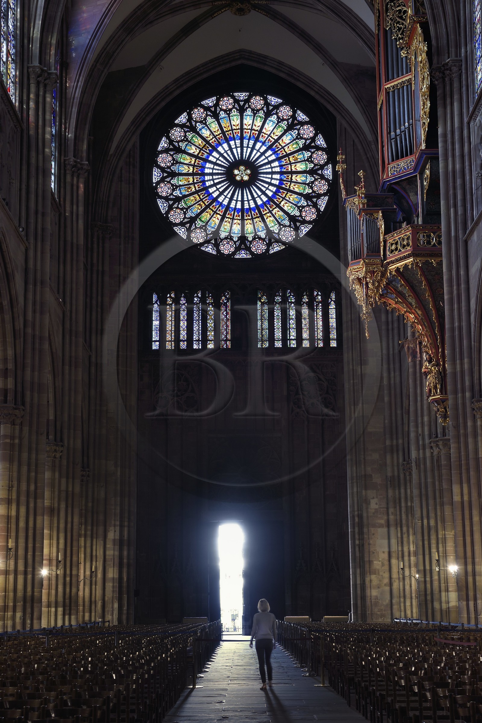 France, Bas-Rhin (67), Strasbourg, vieille ville classée au Patrimoine Mondial de l'UNESCO, la cathédrale Notre-Dame, la grande rose de la facade occidentale d'un diamètre de 13,60 m et le grand orgue au dessus de la nef