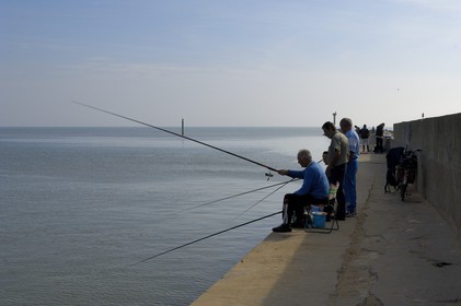 France, Charente-Maritime (17), Ile d'Oléron, port de la Cotinière, pêcheurs