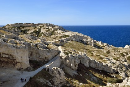 France, Bouches du Rhone, Marseille, Calanques National Park, archipelago of Frioul islands, Pomegues island, French battery and fort of Caveaux