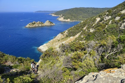 France, Var (83), Iles d'Hyères, Parc national de Port Cros, Ile de Port-Cros, plage de la Palud, Johann Cerisier, garde moniteur du parc national de Port-Cros en tournée de surveillance au rocher du Rascas (en arrière plan)