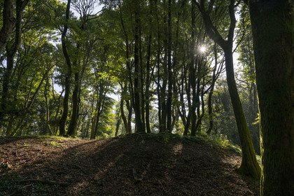 France, Saone et Loire, regional natural park of Morvan, Saint Leger sous Beuvray, oppidum of Bibracte, capital of the Celtic people of the Aedui, archaeological site on Mount Beuvray, hikers in the beech forest at the top of the mountain