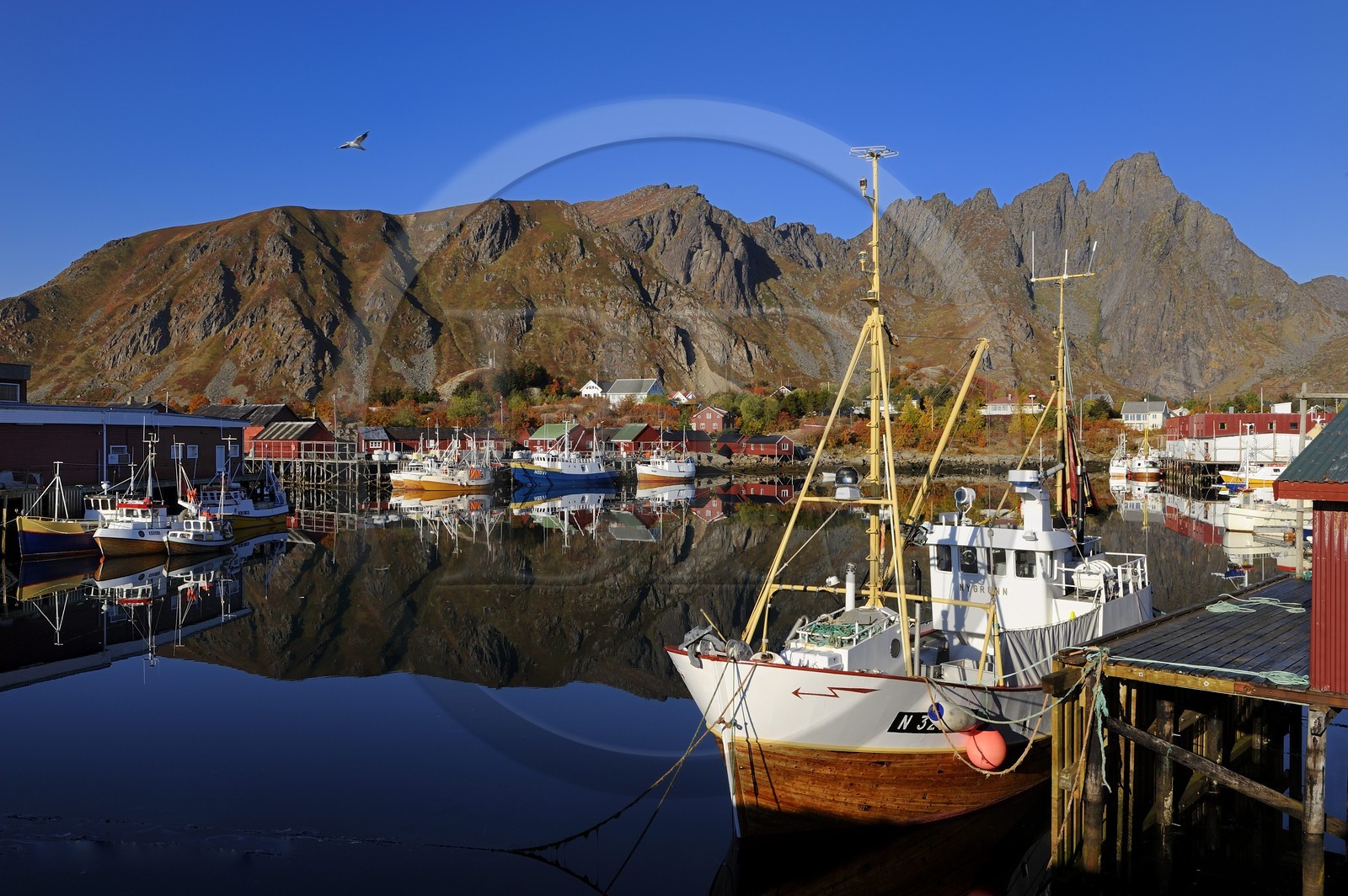 Norvège, Nordland, Iles Lofoten, port de pêche de Ballstad dans l'île de Vestvagoy