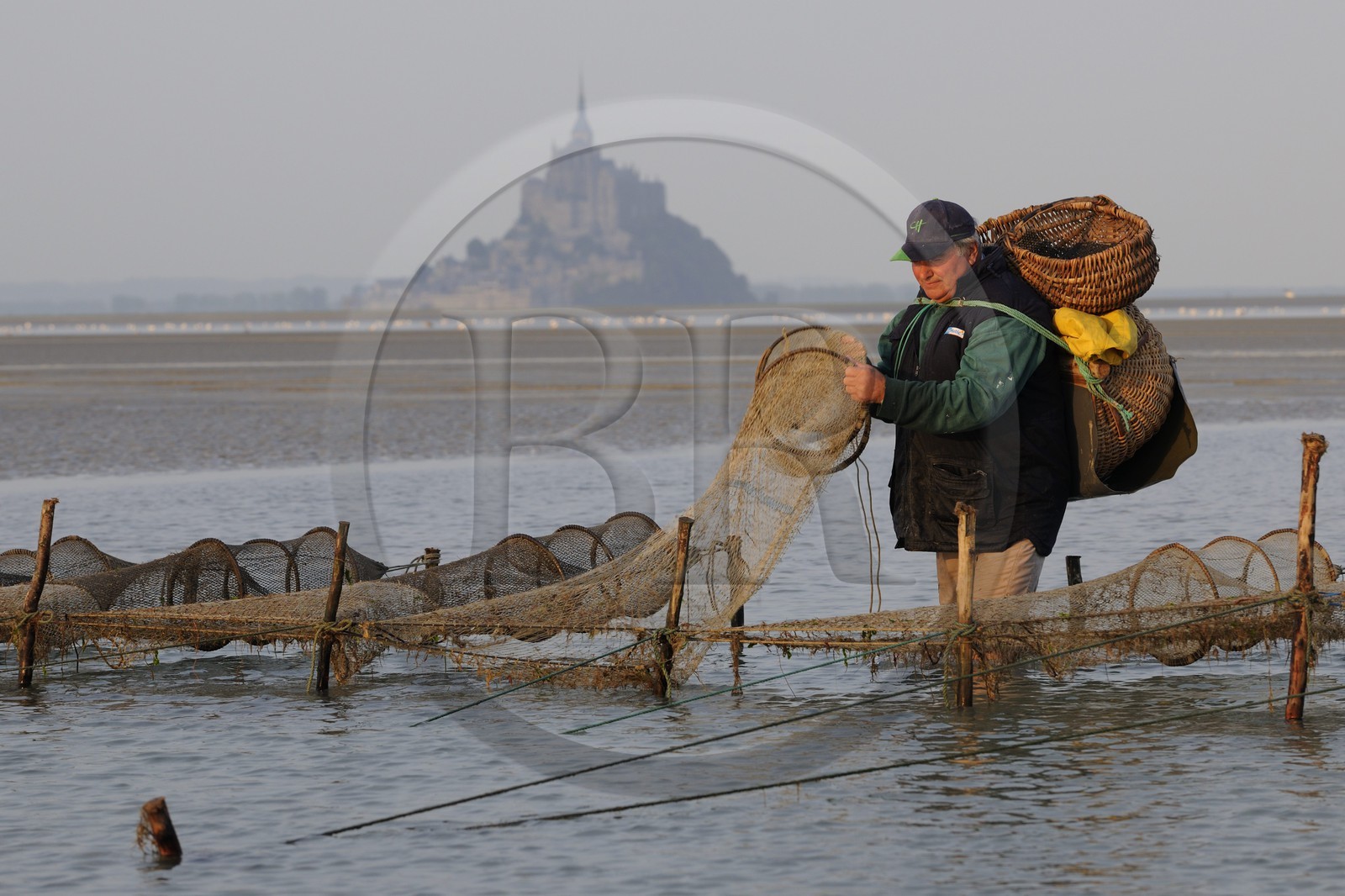 France, Manche (50), Baie du Mont-Saint-Michel, le pêcheur de grève Guy Jugan relevant ses filets de crevettes grises à l'aube