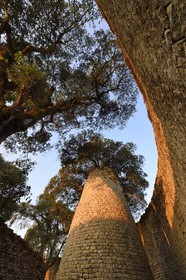 Zimbabwe, province de Masvingo, les ruines du site archéologique du Grand Zimbabwe, classé Patrimoine Mondial de l'UNESCO, Xème au XVème siècle, la tour conique à l'intérieur du Grand Enclos