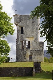 France, Charente-Maritime (17), Saintonge, Taillebourg, la tour du chateau