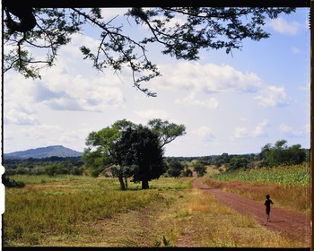 Burkina Faso, Poni province, Lobi land, on the track from Gaoua to Loropéni