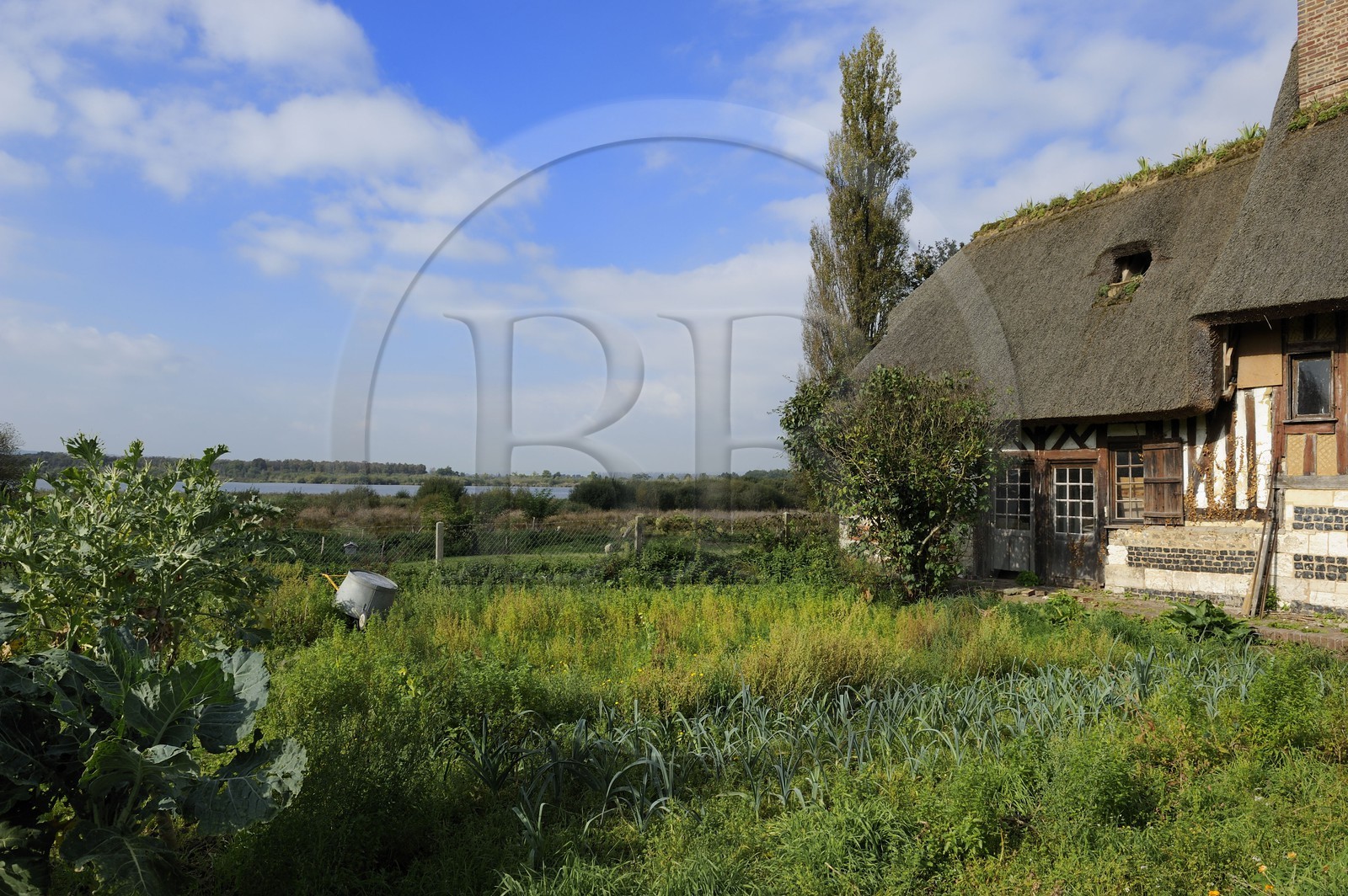 France, Eure, Marais-Vernier, traditional timbered and thatched roof house, the Big Pond (Grande Mare) in the background