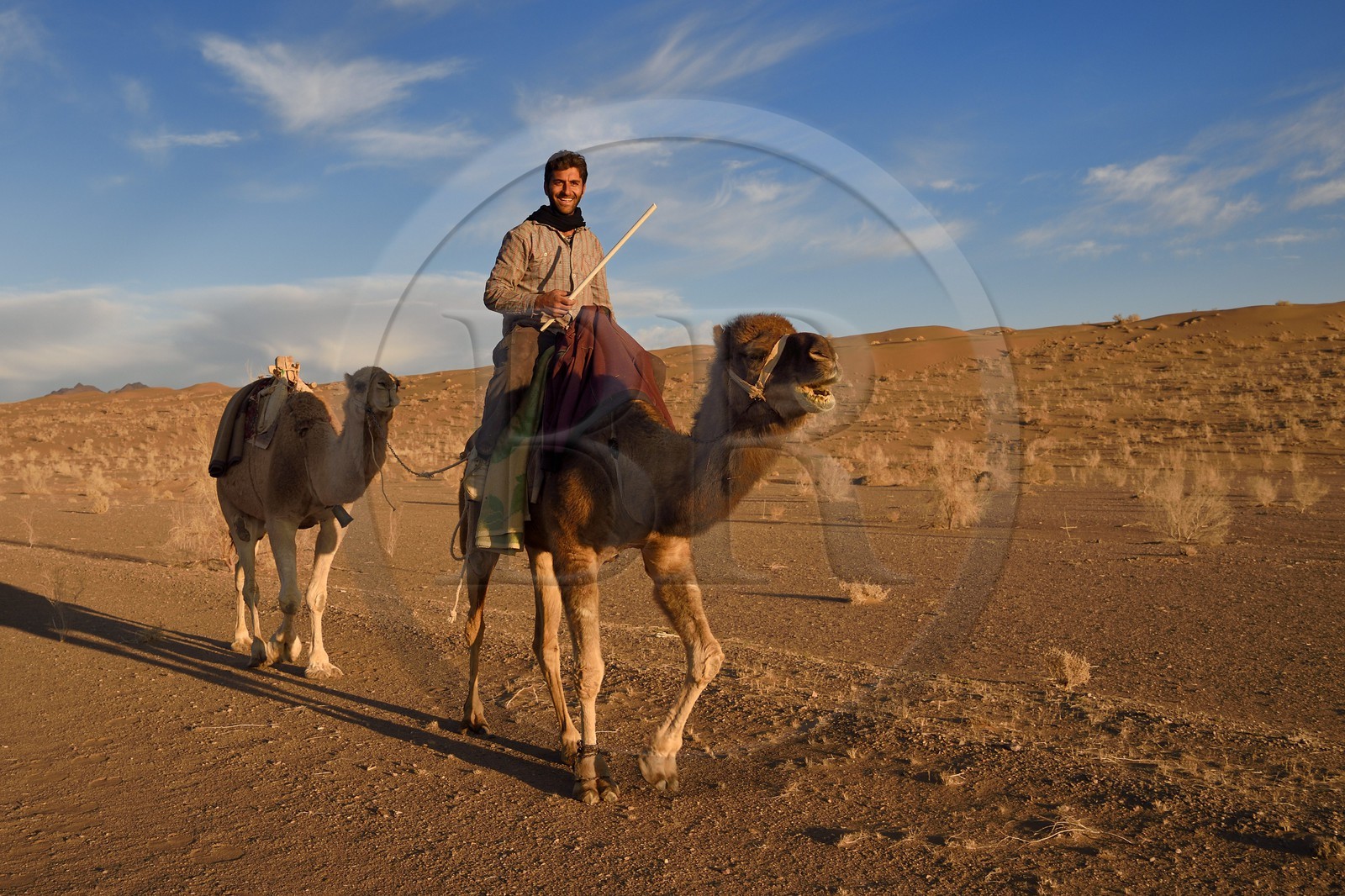 Iran, Province d'Ispahan, désert du Dasht-e Kavir, Mesr dans la région de Khur et Biabanak, chamelier montant un de ses dromadaires dans le désert au soleil couchant
