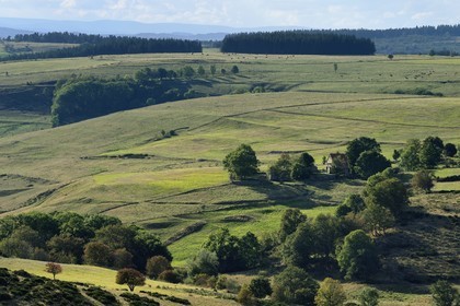 France, Ardeche, Loire river Valley, grassland plateau between Lac-d'Issarlès and Le Beage