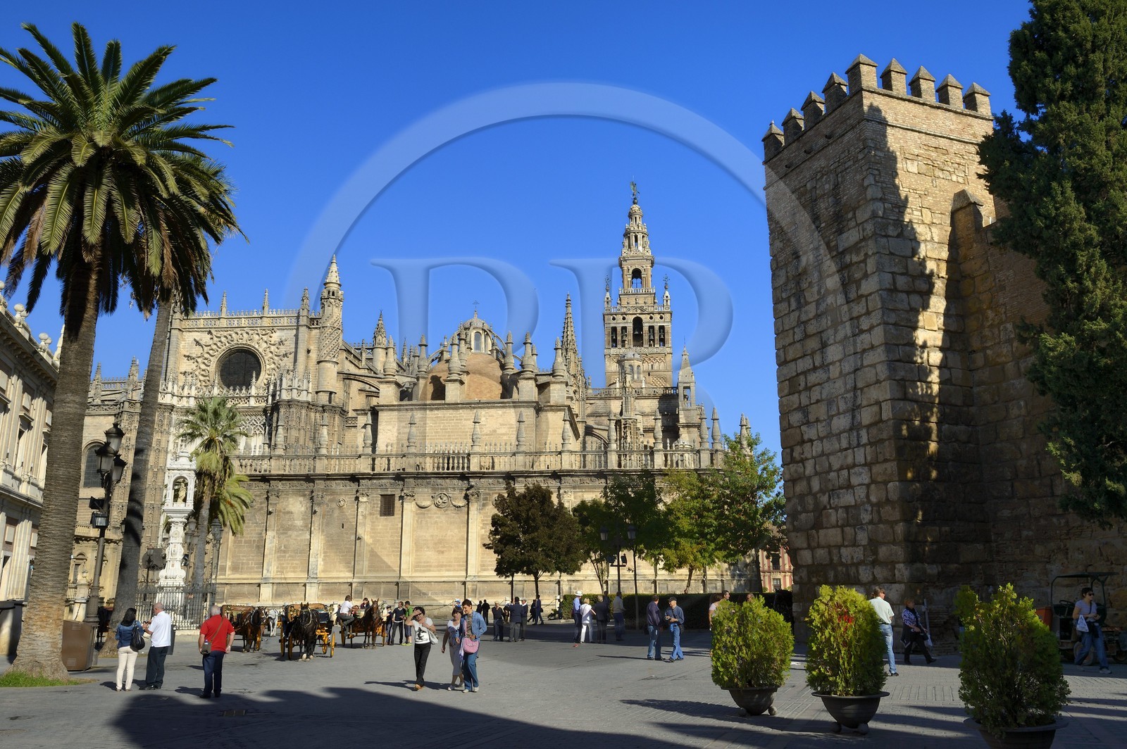 Espagne, Andalousie, Séville, quartier de Santa Cruz, la Giralda, ancien minaret almohade de la Grande Mosquée reconverti en clocher de la cathédrale, classé Patrimoine Mondial de l'UNESCO