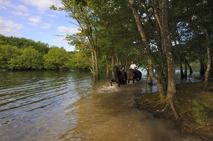 France, Nièvre (58), lac de Pannecière, découverte équestre du lac