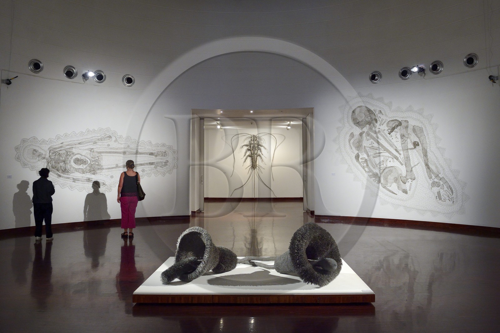 Afrique du Sud, province de Gauteng, Johannesburg, la Standard Bank Gallery, Dans le Tissage (In the Weave), une exposition d'œuvres de Walter Oltmann, l'un des artistes les plus connus d'Afrique du Sud