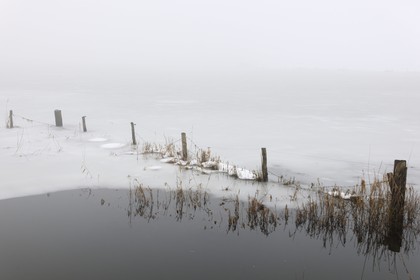 France, Manche, Cotentin, marshes of la Douve towards Liesville sur Douve