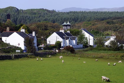 Royaume-Uni, Ecosse, Hébrides intérieures, Ile de Islay, Port Ellen, distillerie de whisky Lagavulin