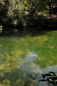 France, Var (83), Provence Verte, Tourves, rivière du Caramy dans les Gorges du Caramy