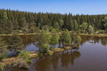 France, Lozere, Luc, hiking with a donkey on the Robert Louis Stevenson Trail (GR 70) on the edge of the Auradou pond (aerial view)