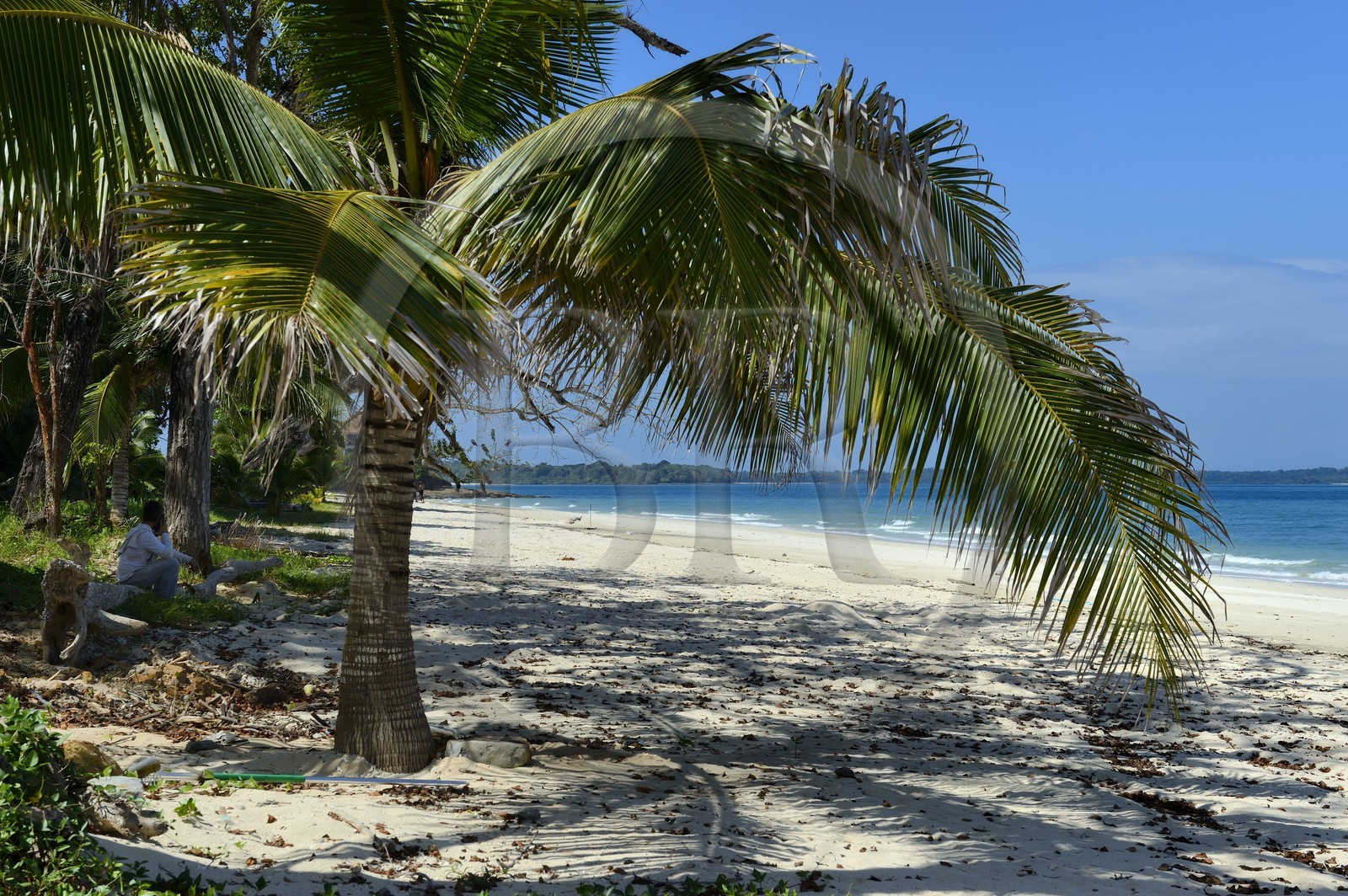 Panama, archipel des Perles, Isla Viveros, plage de sable blanc