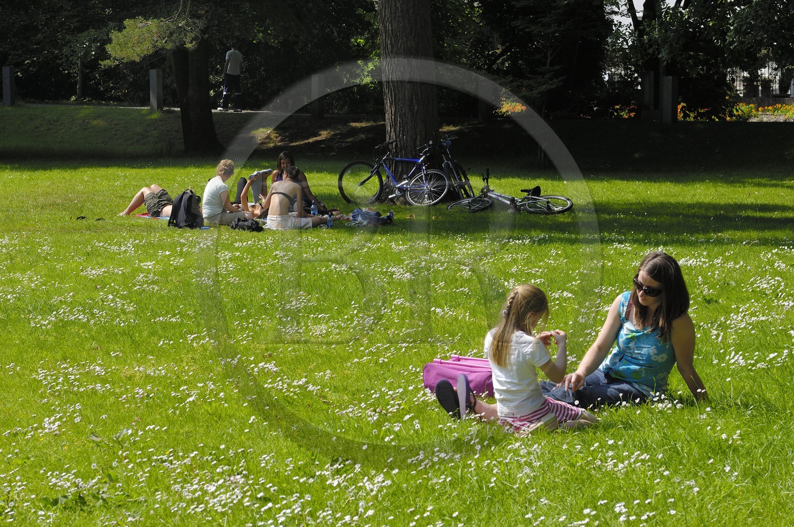 Irlande, Cork, jardin de l'University College Cork