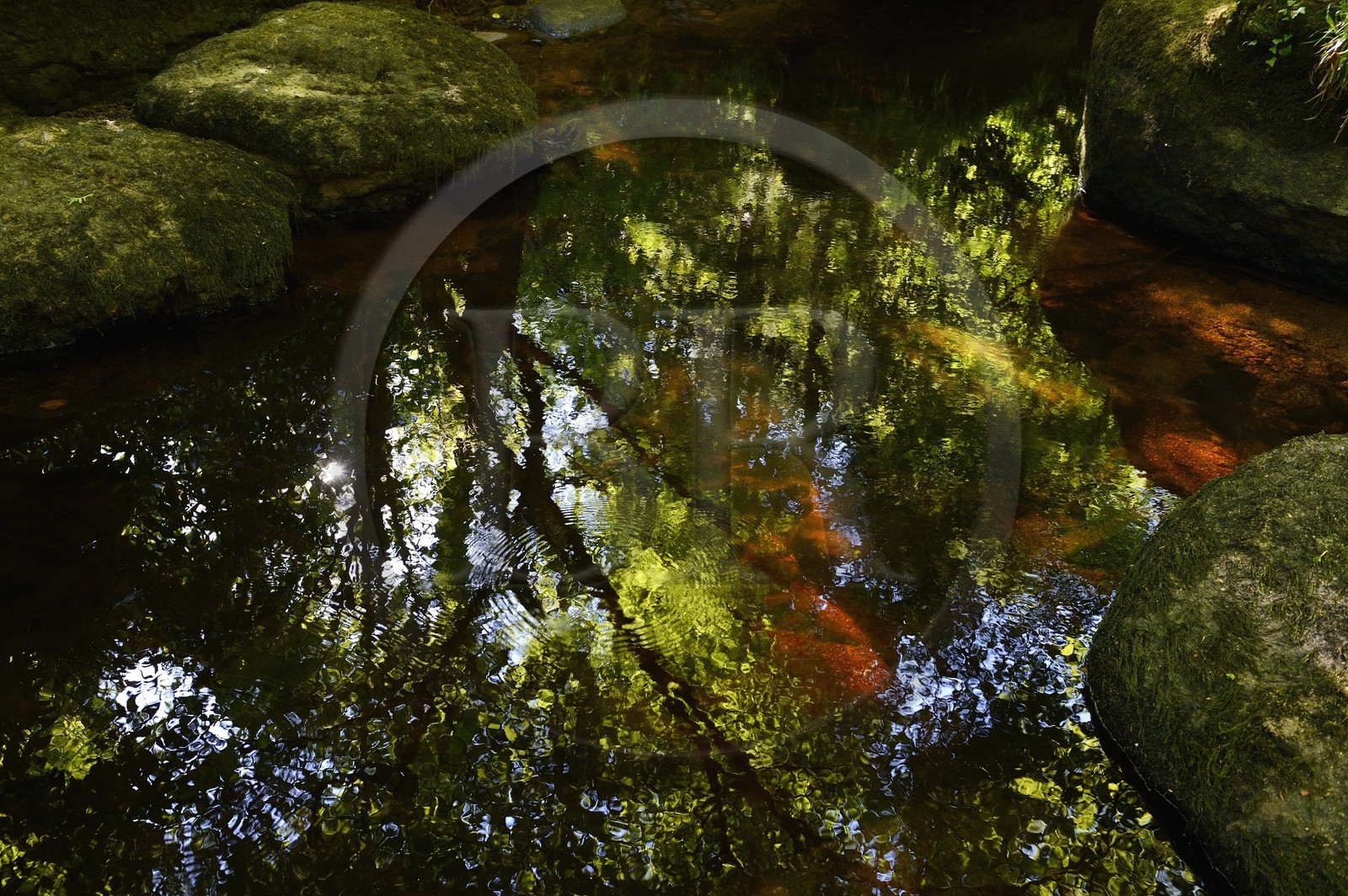 France, Finistère (29), parc naturel régional d'Armorique, Huelgoat, chaos granitique de la forêt du Huelgoat, la forêt se reflète dans l'eau de la rivière d'Argent qui prend parfois une couleur rouge sang