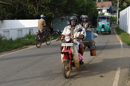 Sri Lanka, Province du Sud, Matara (district), Weligama, les acheteurs de poissons sortent du port de pêche de Mirissa