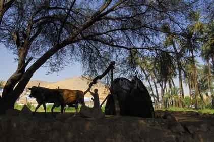 Egypte, Haute Egypte, Nubie, vallée du Nil, Assouan, la rive ouest, puit dans la campagne nubienne