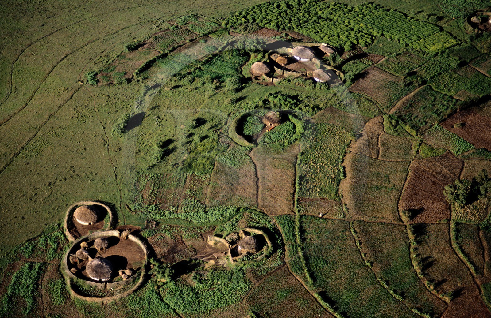 Burundi, habitat traditionnel rugo dispersé sur une colline de la région de Mugongomanga (vue aérienne)