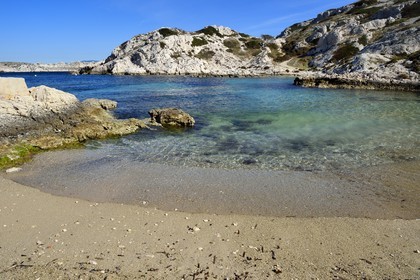 France, Bouches du Rhone, Marseille, Calanques National Park, archipelago of Frioul islands, Pomegues island, calanque de la Crine (Crine beach)