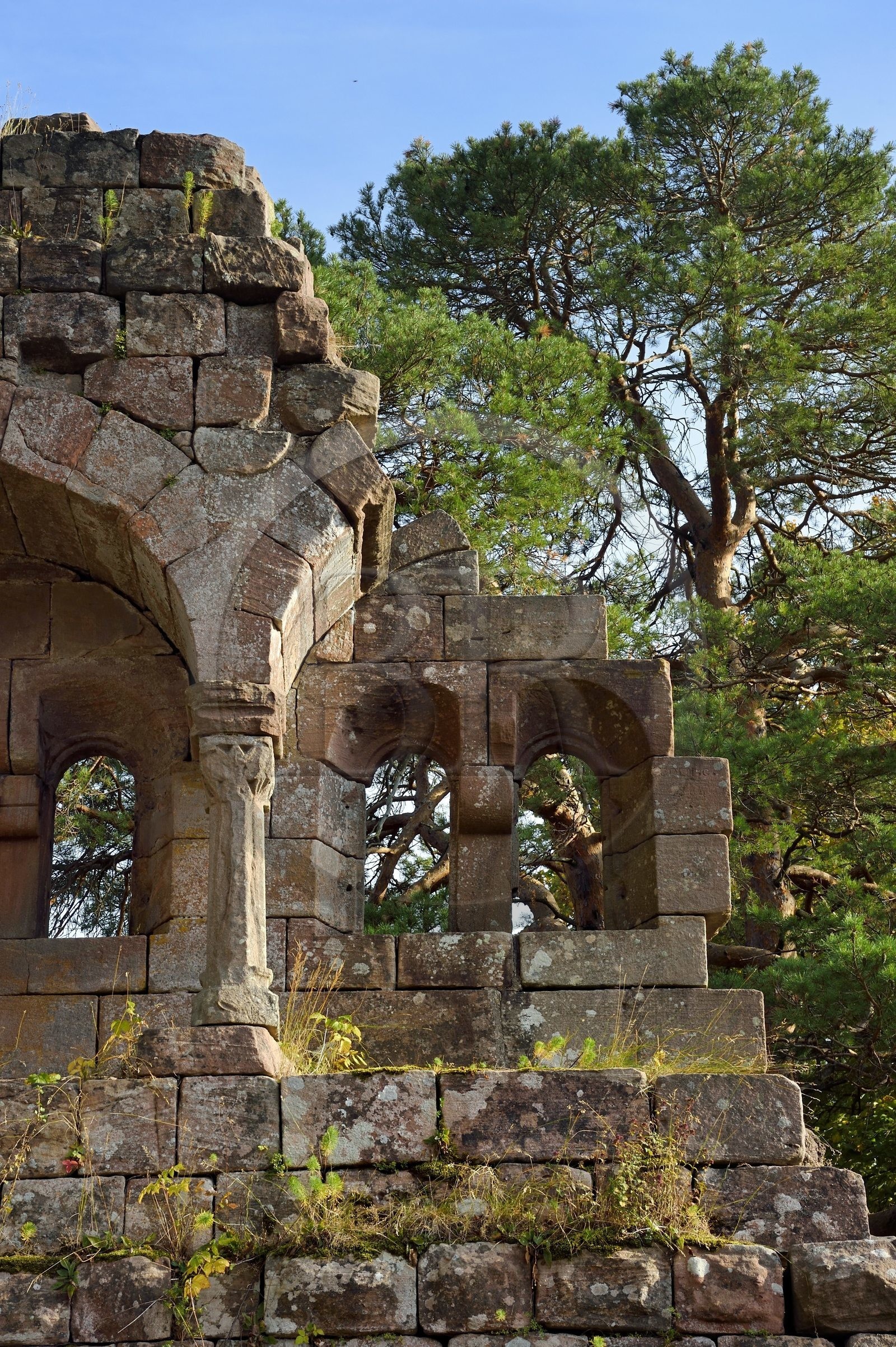 France, Bas-Rhin (67), Heiligenstein, chateau du Landsberg du XIIIème siècle, logis seigneurial