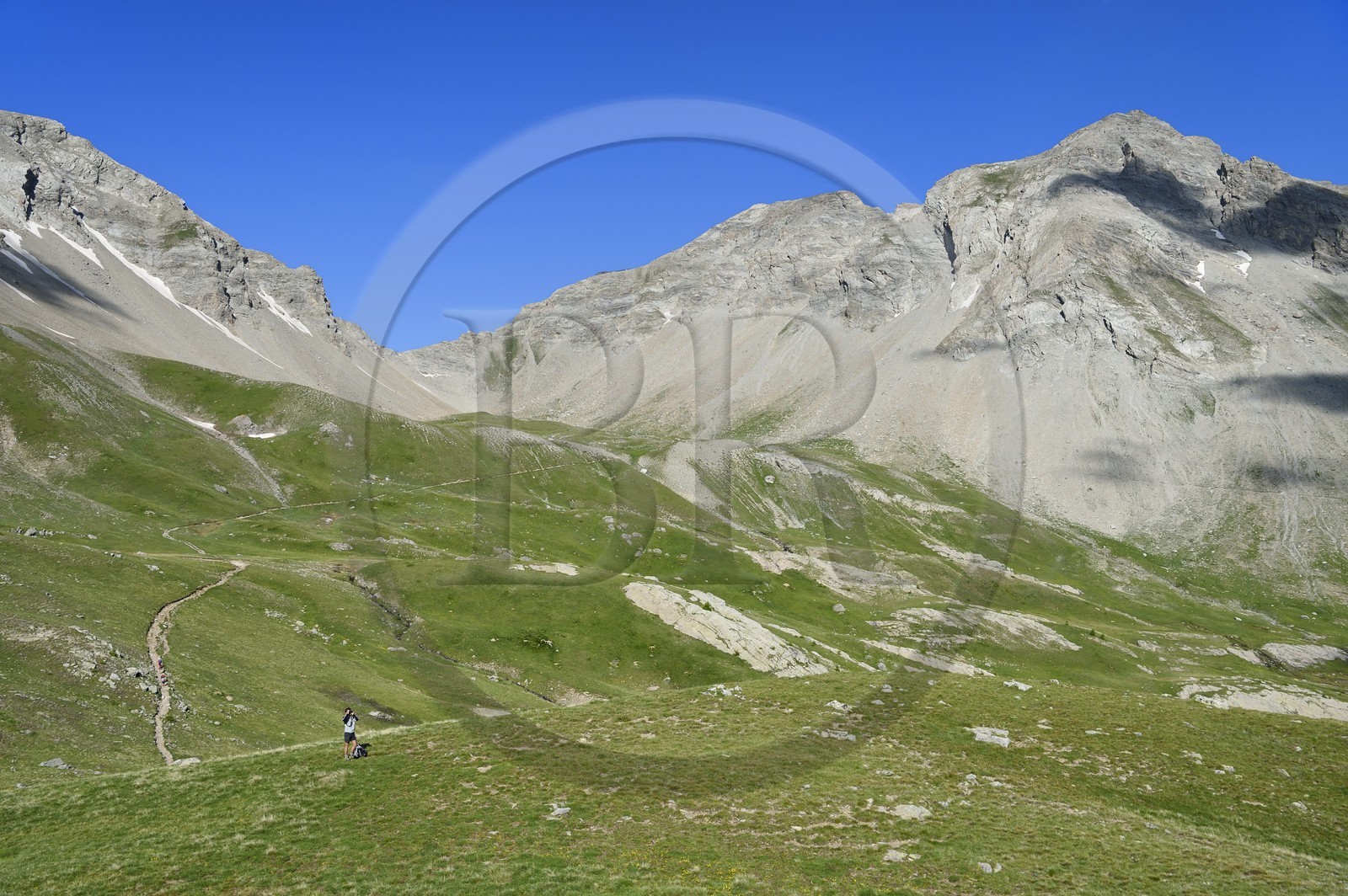 France, Alpes-de-Haute-Provence (04), Uvernet-Fours, parc national du Mercantour, vallée de l'Ubaye, col de la Cayolle (2326 m), sentier de randonnée qui grimpe à travers la pelouse alpine sur le circuit des lacs sous le sommet de la montagne du Trou de l’Aigle