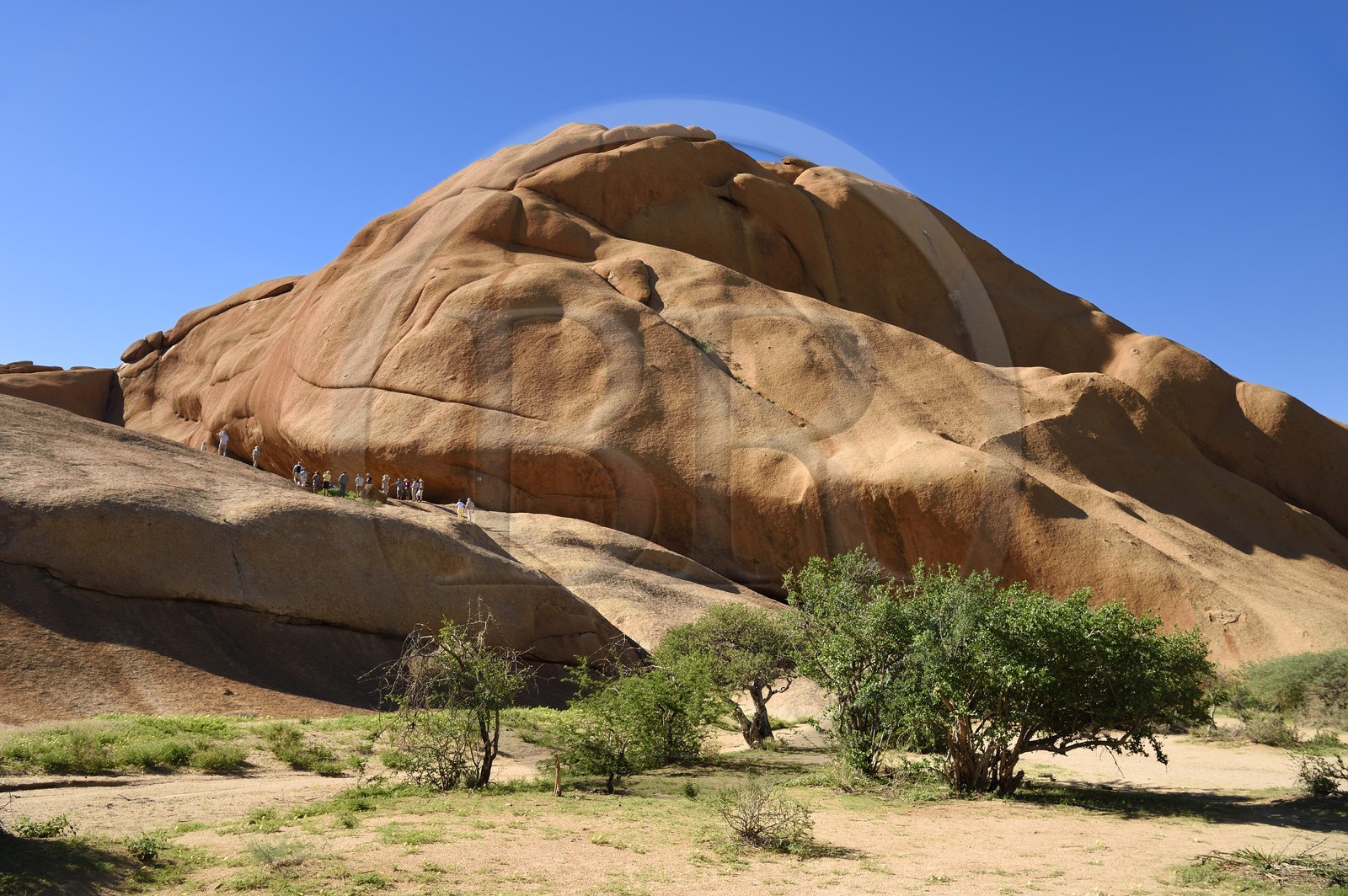 Namibie, région de Erongo, Damaraland, le Spitzkoppe ou Spitzkop (1784 m), montagne granitique dans le désert du Namib